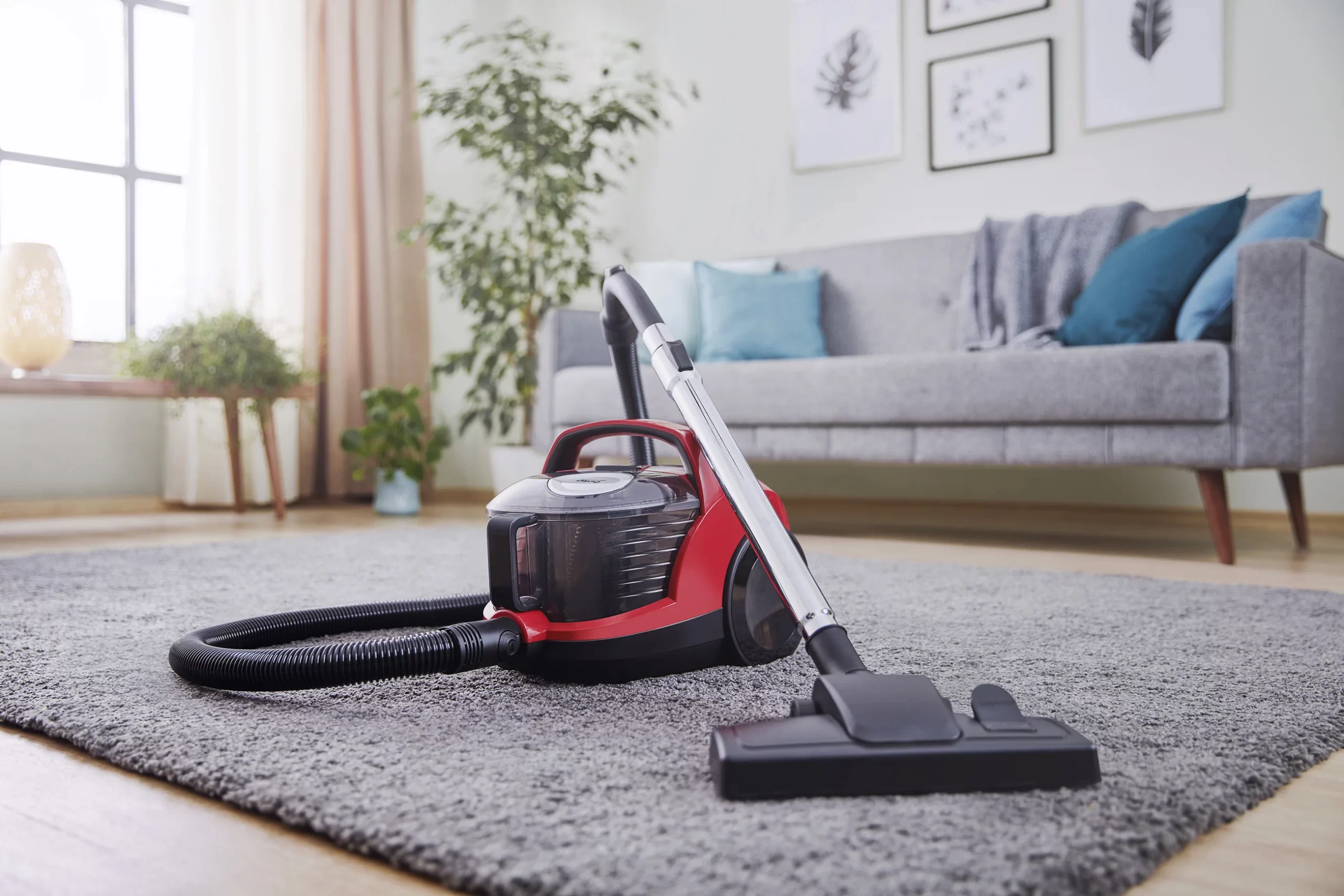 Carpet steam cleaning