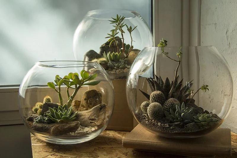 Terrarium Design